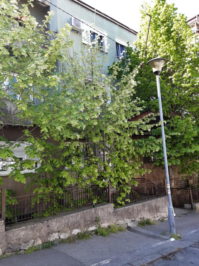 Victor Daire Belgrad
